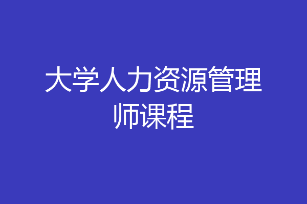 大学人力资源管理师课程