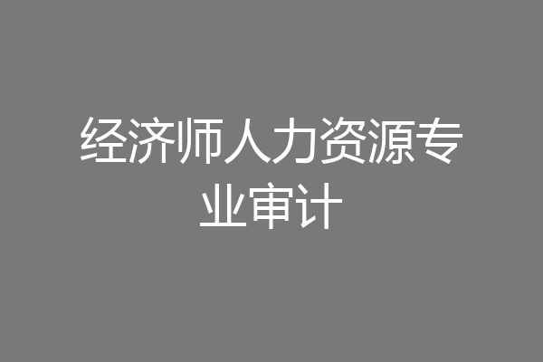 经济师人力资源专业审计