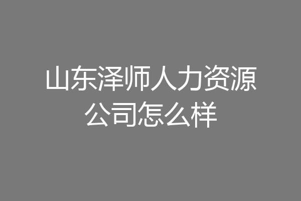 山东泽师人力资源公司怎么样