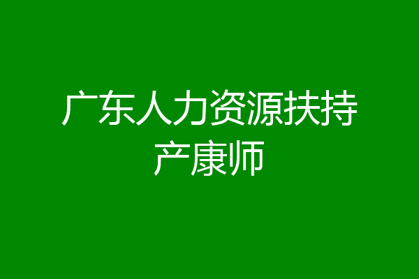 广东人力资源扶持产康师