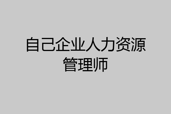 自己企业人力资源管理师