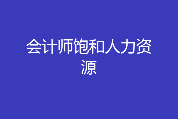 会计师饱和人力资源