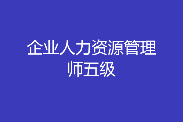 企业人力资源管理师五级