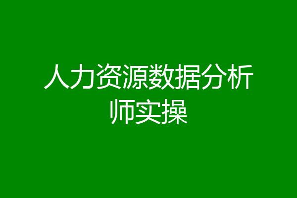人力资源数据分析师实操