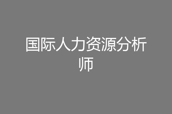 国际人力资源分析师