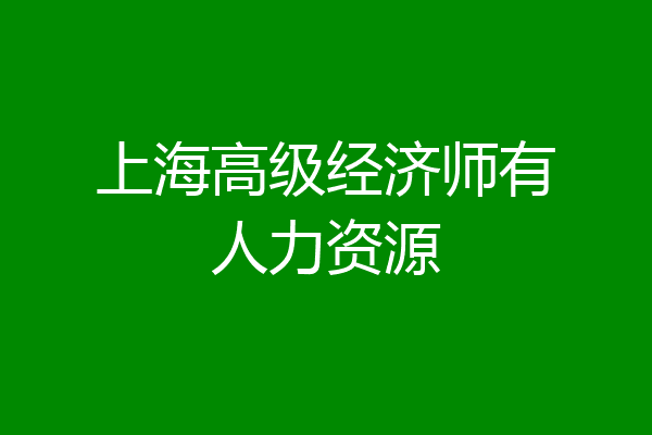 上海高级经济师有人力资源