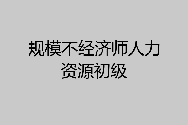 规模不经济师人力资源初级
