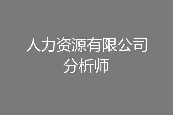 人力资源有限公司分析师