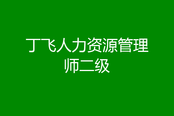 丁飞人力资源管理师二级
