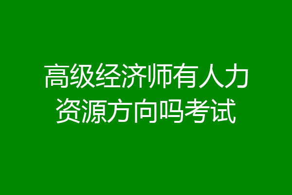 高级经济师有人力资源方向吗考试