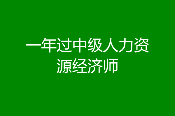 一年过中级人力资源经济师
