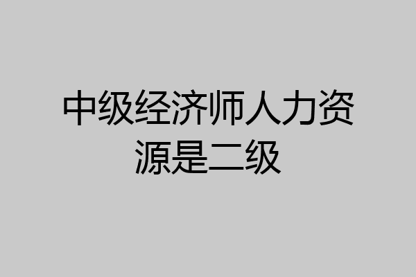 中级经济师人力资源是二级