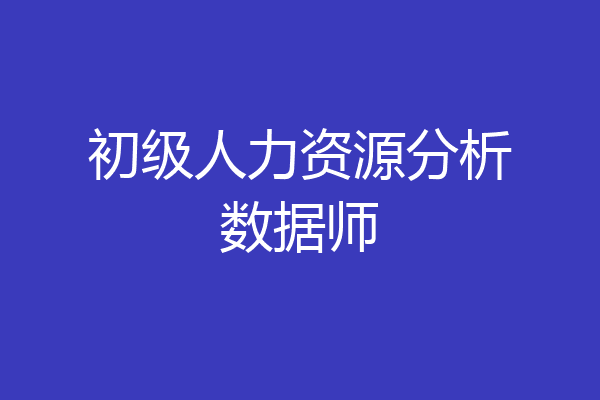 初级人力资源分析数据师