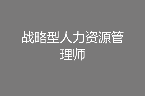 战略型人力资源管理师