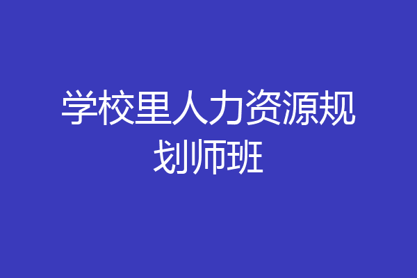 学校里人力资源规划师班