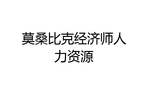 莫桑比克经济师人力资源