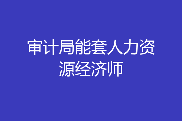 审计局能套人力资源经济师