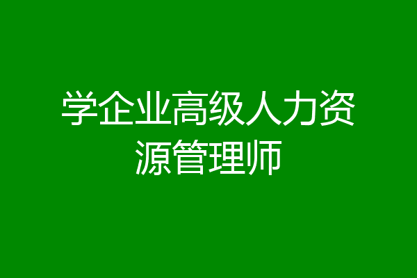 学企业高级人力资源管理师