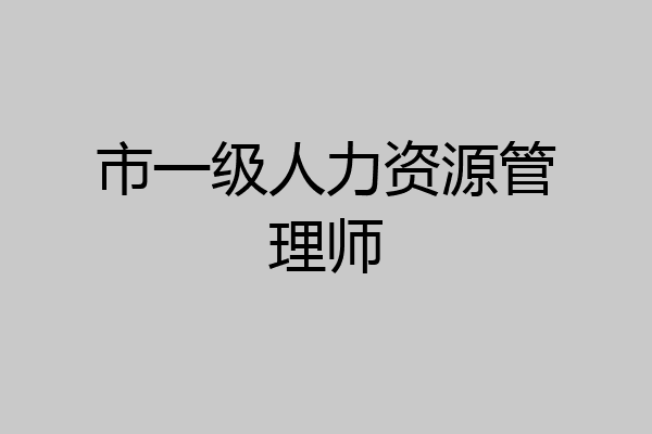 市一级人力资源管理师