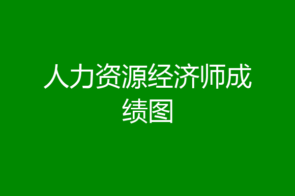 人力资源经济师成绩图
