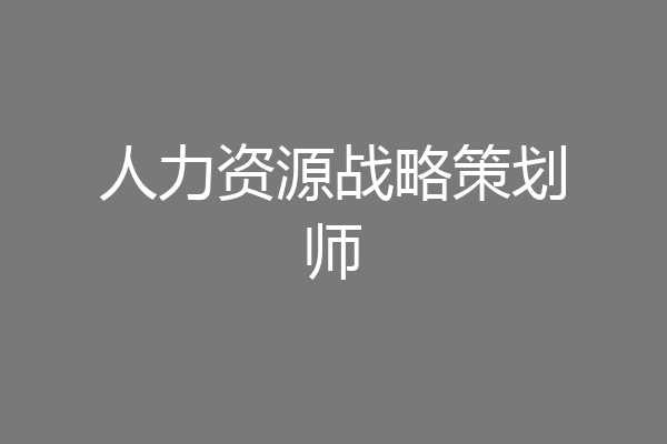 人力资源战略策划师