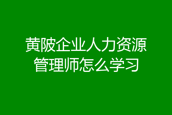黄陂企业人力资源管理师怎么学习