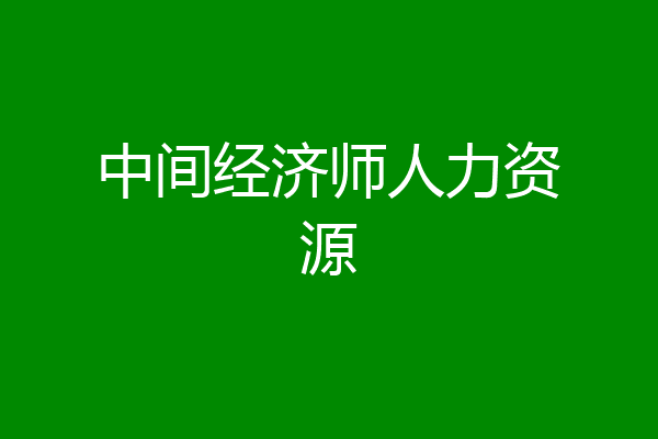 中间经济师人力资源
