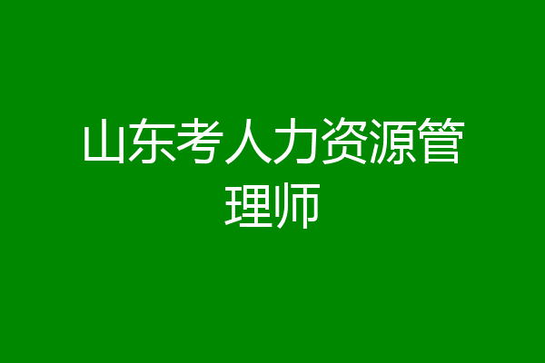 山东考人力资源管理师
