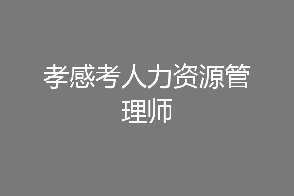 孝感考人力资源管理师