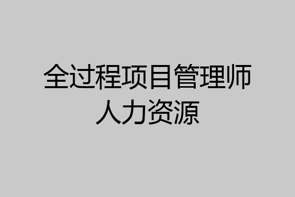 全过程项目管理师人力资源