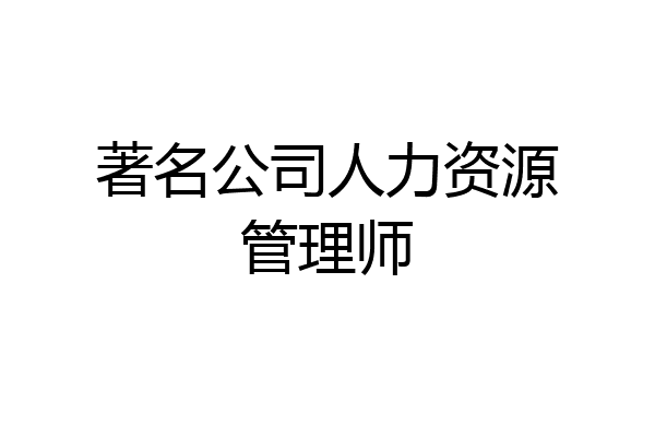著名公司人力资源管理师