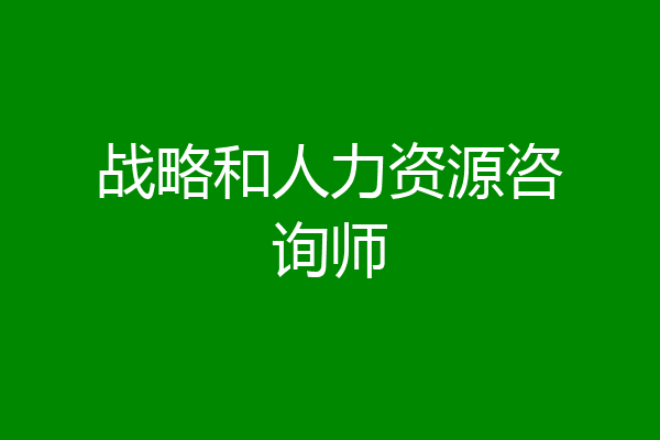 战略和人力资源咨询师