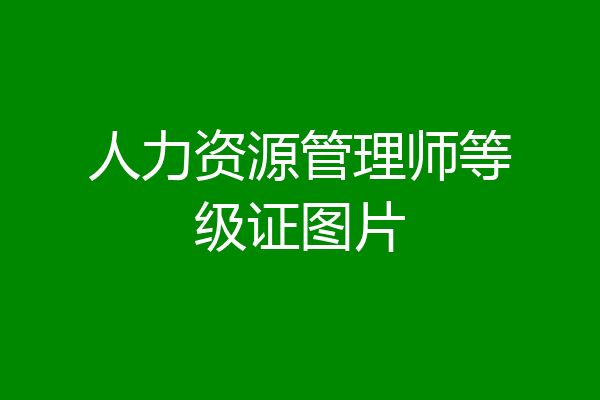 人力资源管理师等级证图片