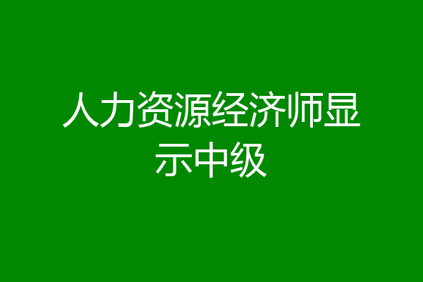 人力资源经济师显示中级