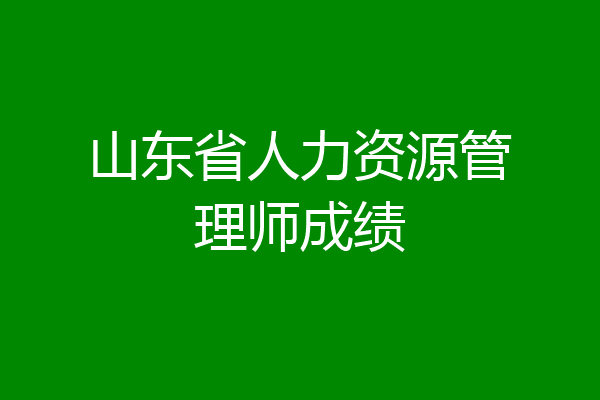 山东省人力资源管理师成绩
