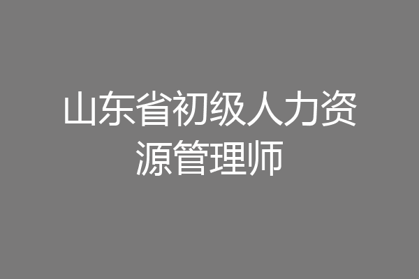 山东省初级人力资源管理师