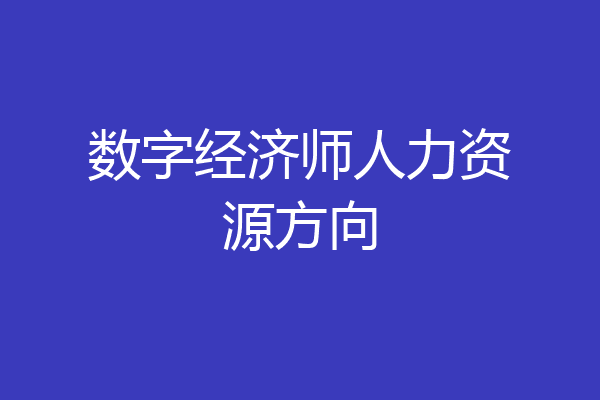 数字经济师人力资源方向