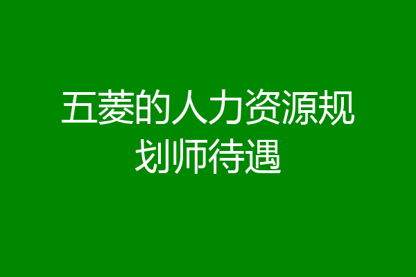 五菱的人力资源规划师待遇