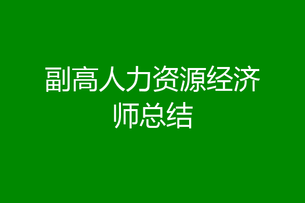 副高人力资源经济师总结