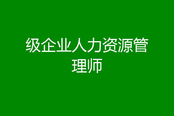 级企业人力资源管理师