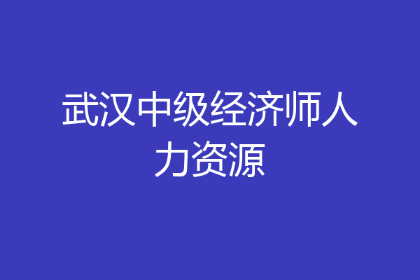 武汉中级经济师人力资源
