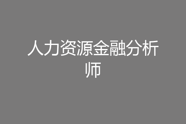 人力资源金融分析师