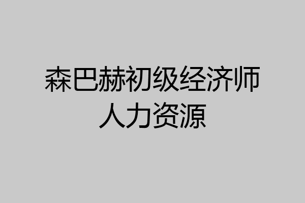 森巴赫初级经济师人力资源