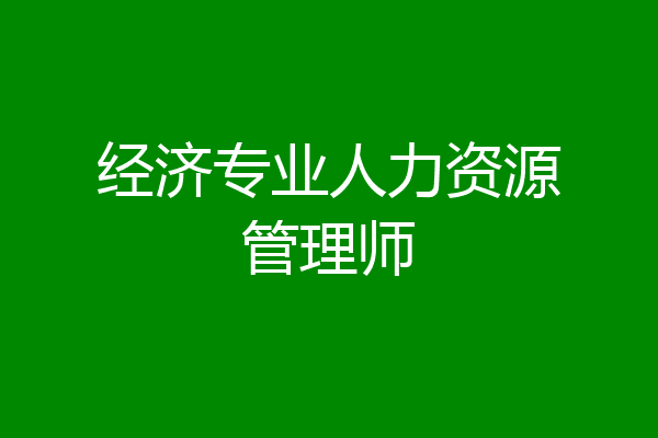 经济专业人力资源管理师