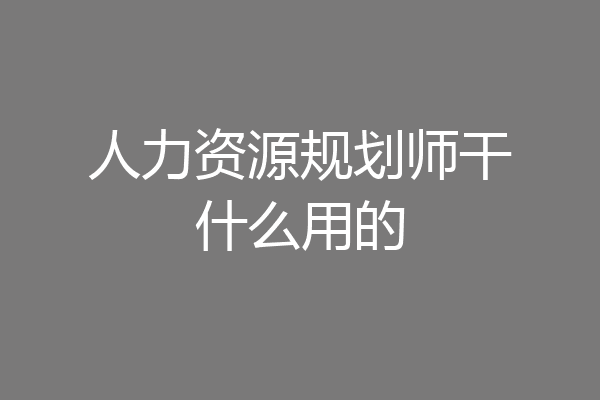 人力资源规划师干什么用的
