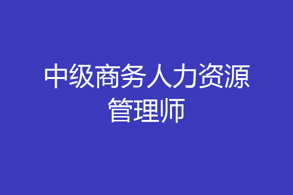 中级商务人力资源管理师