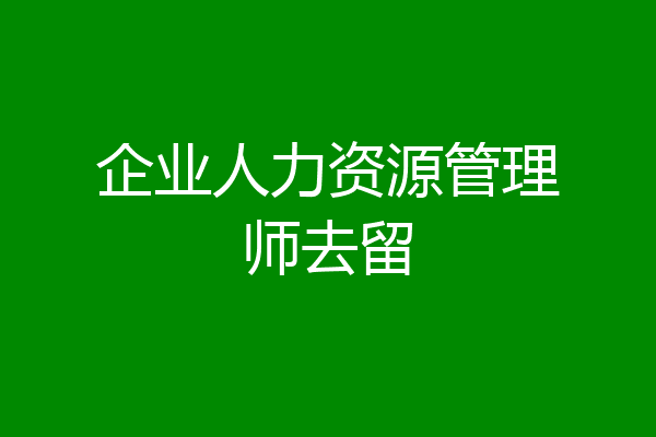 企业人力资源管理师去留