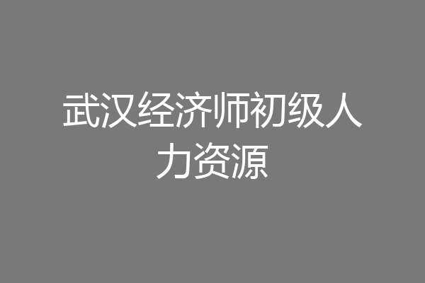 武汉经济师初级人力资源