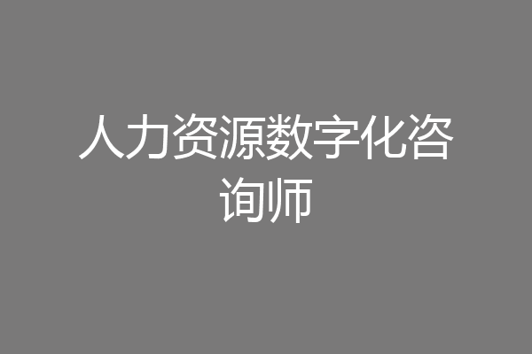 人力资源数字化咨询师