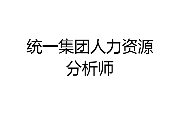 统一集团人力资源分析师